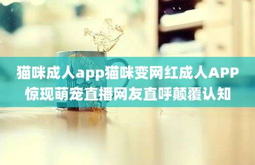猫咪成人app猫咪变网红成人APP惊现萌宠直播网友直呼颠覆认知