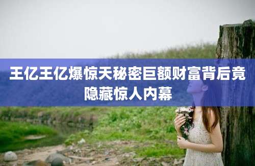 王亿王亿爆惊天秘密巨额财富背后竟隐藏惊人内幕