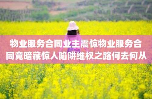 物业服务合同业主震惊物业服务合同竟暗藏惊人陷阱维权之路何去何从
