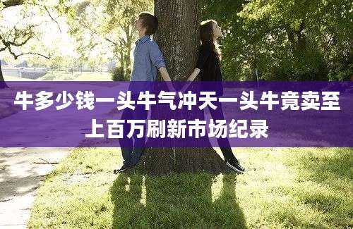 牛多少钱一头牛气冲天一头牛竟卖至上百万刷新市场纪录