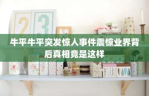 牛平牛平突发惊人事件震惊业界背后真相竟是这样