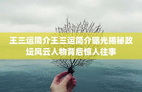 王三运简介王三运简介曝光揭秘政坛风云人物背后惊人往事