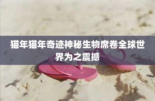 猫年猫年奇迹神秘生物席卷全球世界为之震撼