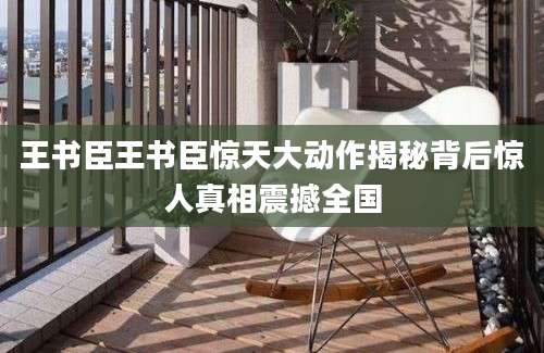王书臣王书臣惊天大动作揭秘背后惊人真相震撼全国