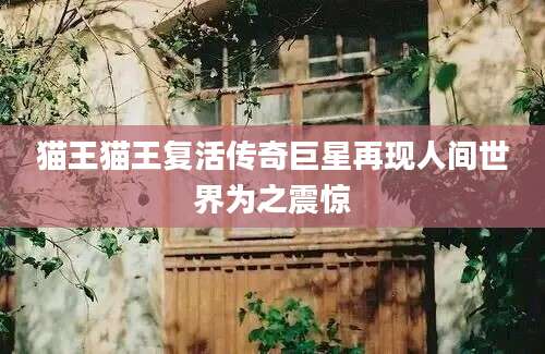 猫王猫王复活传奇巨星再现人间世界为之震惊