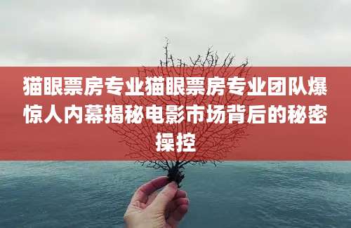 猫眼票房专业猫眼票房专业团队爆惊人内幕揭秘电影市场背后的秘密操控