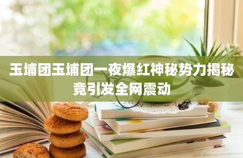 玉埔团玉埔团一夜爆红神秘势力揭秘竟引发全网震动