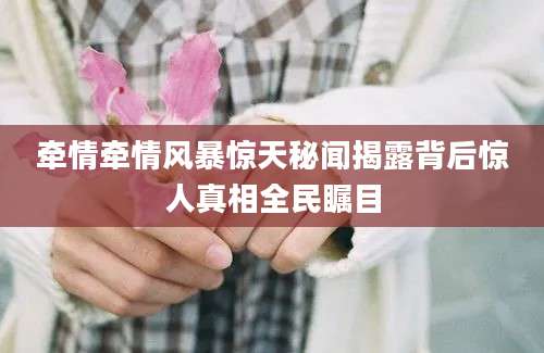 牵情牵情风暴惊天秘闻揭露背后惊人真相全民瞩目