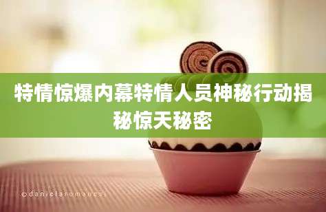 特情惊爆内幕特情人员神秘行动揭秘惊天秘密