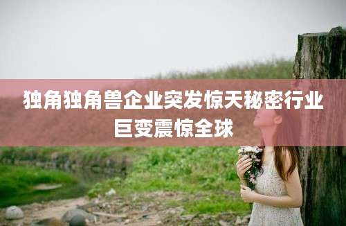 独角独角兽企业突发惊天秘密行业巨变震惊全球