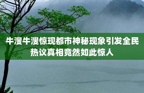 牛溲牛溲惊现都市神秘现象引发全民热议真相竟然如此惊人