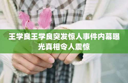 王学良王学良突发惊人事件内幕曝光真相令人震惊