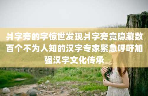 爿字旁的字惊世发现爿字旁竟隐藏数百个不为人知的汉字专家紧急呼吁加强汉字文化传承