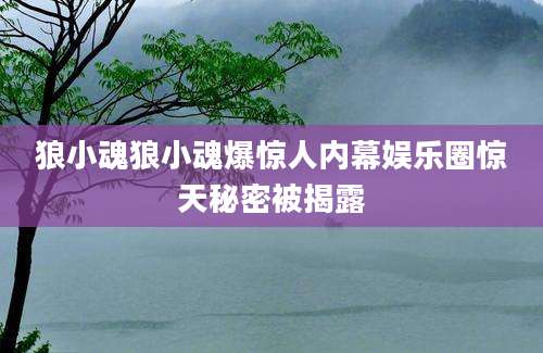 狼小魂狼小魂爆惊人内幕娱乐圈惊天秘密被揭露