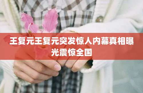 王复元王复元突发惊人内幕真相曝光震惊全国