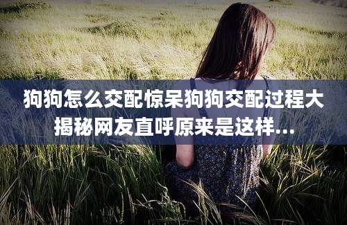 狗狗怎么交配惊呆狗狗交配过程大揭秘网友直呼原来是这样...