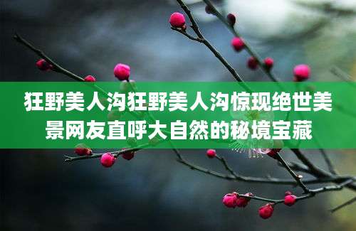 狂野美人沟狂野美人沟惊现绝世美景网友直呼大自然的秘境宝藏