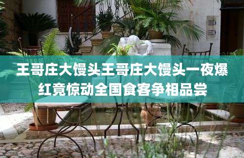 王哥庄大馒头王哥庄大馒头一夜爆红竟惊动全国食客争相品尝
