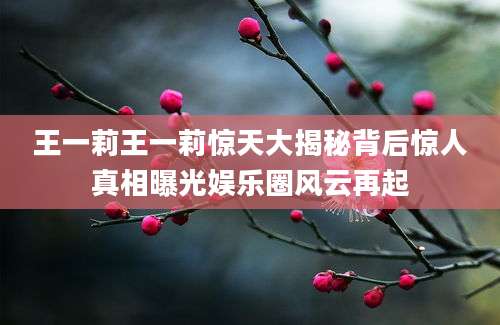 王一莉王一莉惊天大揭秘背后惊人真相曝光娱乐圈风云再起