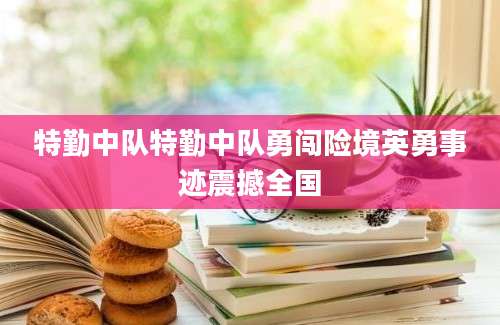 特勤中队特勤中队勇闯险境英勇事迹震撼全国