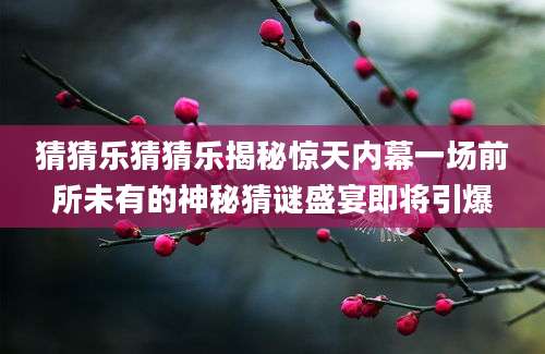 猜猜乐猜猜乐揭秘惊天内幕一场前所未有的神秘猜谜盛宴即将引爆