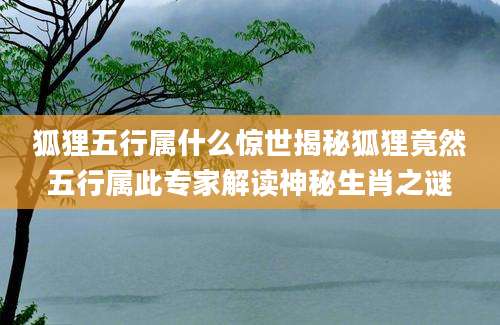 狐狸五行属什么惊世揭秘狐狸竟然五行属此专家解读神秘生肖之谜