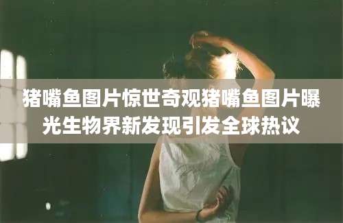 猪嘴鱼图片惊世奇观猪嘴鱼图片曝光生物界新发现引发全球热议