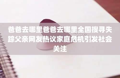 爸爸去哪里爸爸去哪里全国搜寻失踪父亲网友热议家庭危机引发社会关注
