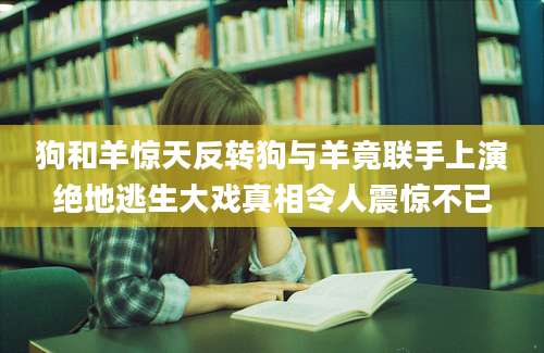狗和羊惊天反转狗与羊竟联手上演绝地逃生大戏真相令人震惊不已