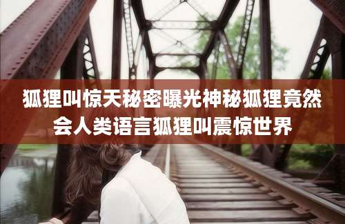 狐狸叫惊天秘密曝光神秘狐狸竟然会人类语言狐狸叫震惊世界