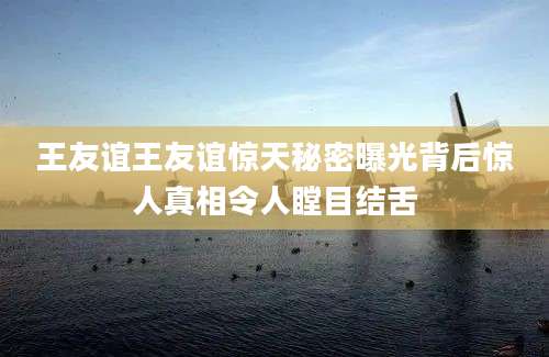 王友谊王友谊惊天秘密曝光背后惊人真相令人瞠目结舌