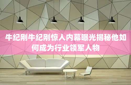 牛纪刚牛纪刚惊人内幕曝光揭秘他如何成为行业领军人物