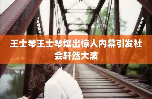 王士琴王士琴爆出惊人内幕引发社会轩然大波