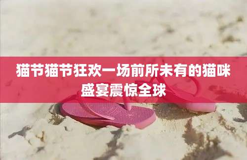 猫节猫节狂欢一场前所未有的猫咪盛宴震惊全球