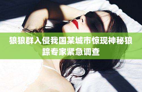 狼狼群入侵我国某城市惊现神秘狼踪专家紧急调查