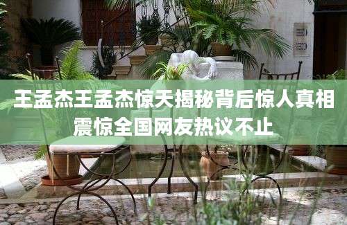 王孟杰王孟杰惊天揭秘背后惊人真相震惊全国网友热议不止