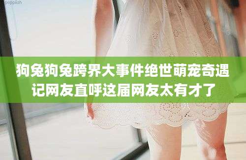 狗兔狗兔跨界大事件绝世萌宠奇遇记网友直呼这届网友太有才了