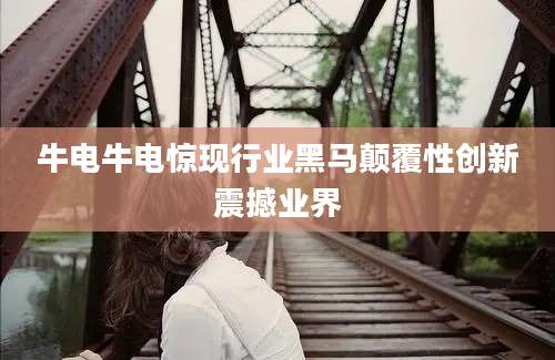 牛电牛电惊现行业黑马颠覆性创新震撼业界