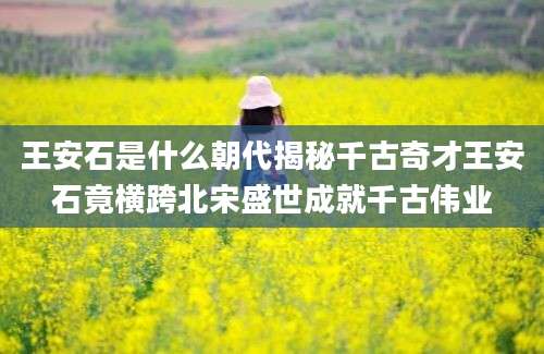 王安石是什么朝代揭秘千古奇才王安石竟横跨北宋盛世成就千古伟业