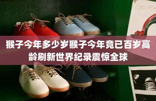 猴子今年多少岁猴子今年竟已百岁高龄刷新世界纪录震惊全球