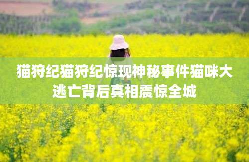 猫狩纪猫狩纪惊现神秘事件猫咪大逃亡背后真相震惊全城