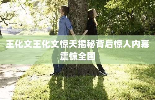 王化文王化文惊天揭秘背后惊人内幕震惊全国