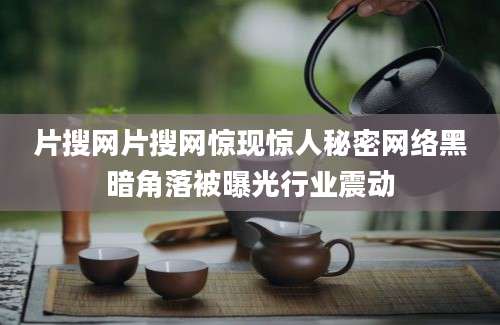 片搜网片搜网惊现惊人秘密网络黑暗角落被曝光行业震动