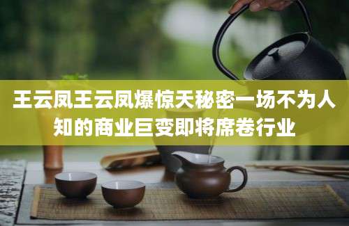 王云凤王云凤爆惊天秘密一场不为人知的商业巨变即将席卷行业