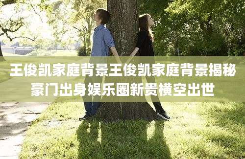 王俊凯家庭背景王俊凯家庭背景揭秘豪门出身娱乐圈新贵横空出世