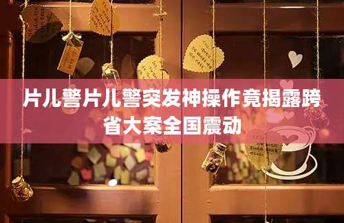 片儿警片儿警突发神操作竟揭露跨省大案全国震动