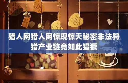 猎人网猎人网惊现惊天秘密非法狩猎产业链竟如此猖獗