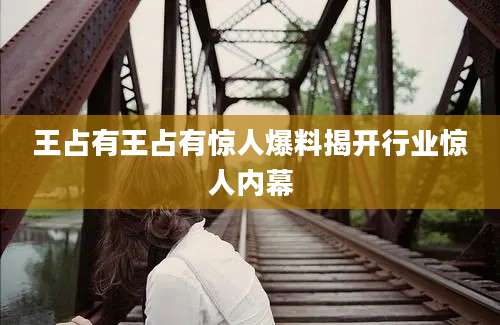 王占有王占有惊人爆料揭开行业惊人内幕
