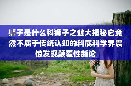 狮子是什么科狮子之谜大揭秘它竟然不属于传统认知的科属科学界震惊发现颠覆性新论