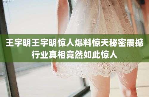 王宇明王宇明惊人爆料惊天秘密震撼行业真相竟然如此惊人